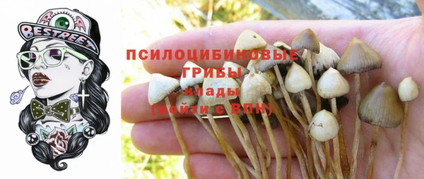 мдпв Абдулино