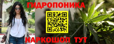 сатива Жуковский