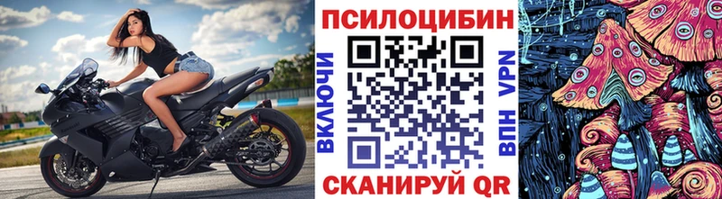Псилоцибиновые грибы GOLDEN TEACHER  кракен зеркало  Новосибирск 