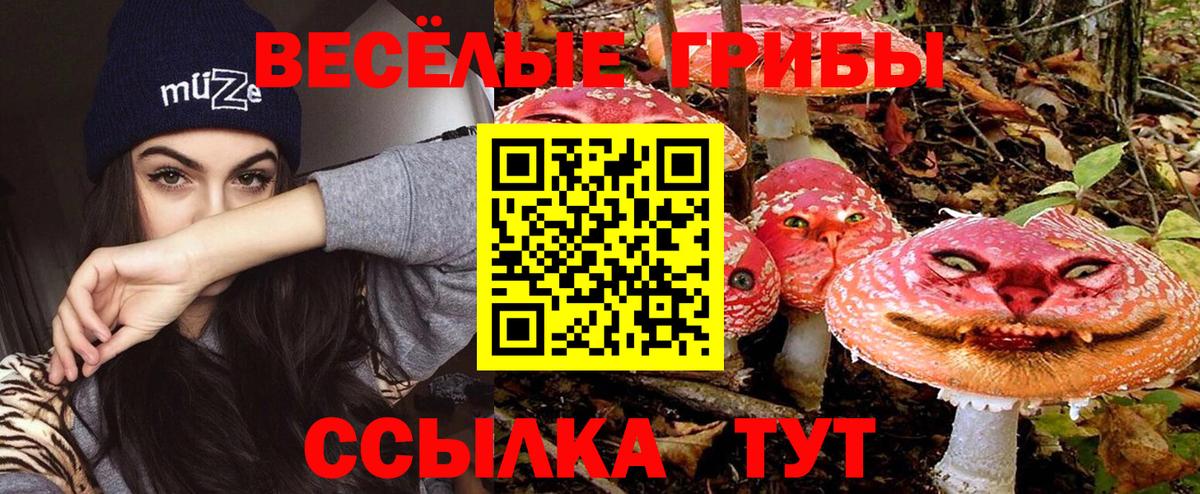 Галлюциногенные грибы Cubensis  Вход с VPN  Новосибирск 