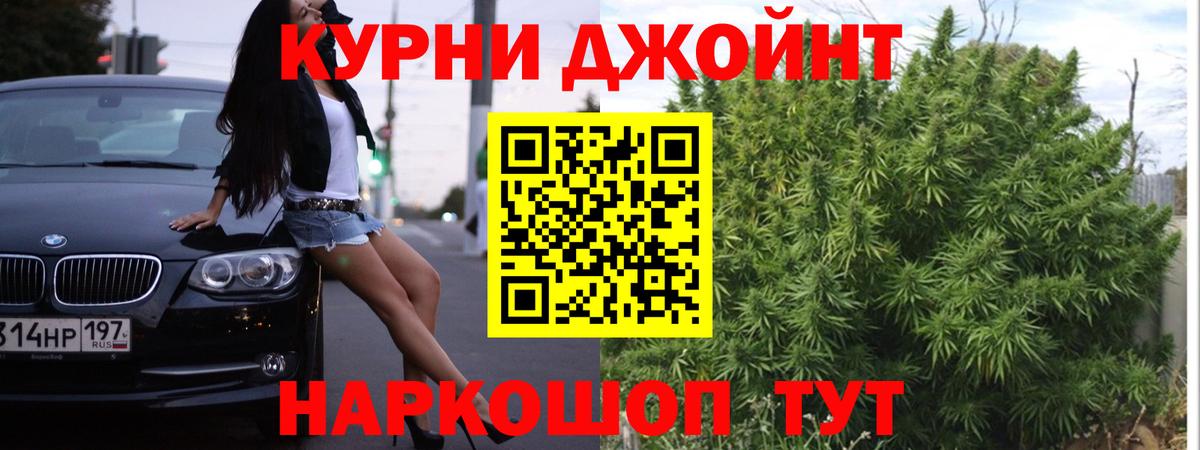 Каннабис OG Kush Новосибирск